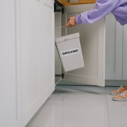 Expert appliance technician repairing disposal unit